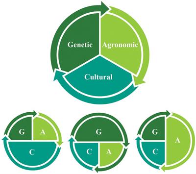 New Food Crop Domestication in the Age of Gene Editing: Genetic, Agronomic and Cultural Change Remain Co-evolutionarily Entangled